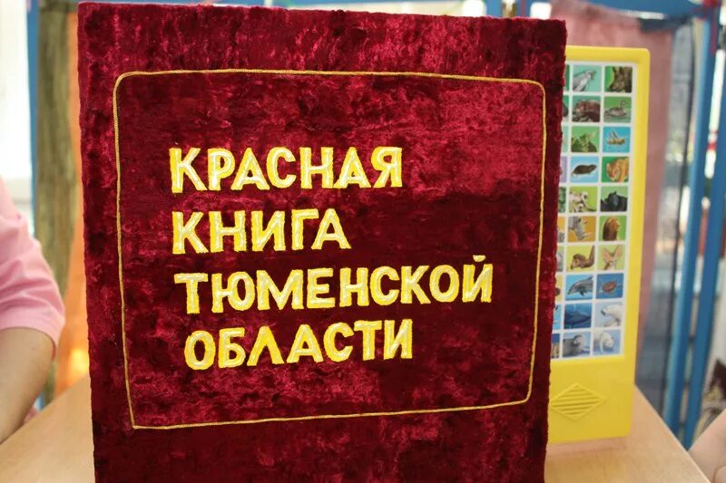 Красная книга Тюменской области. Красная книга Тюменской.... Красная книга Тюменской области книга. Красная книга Тюмен обл. Красная книга тюмени