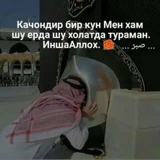 Бир кун холос