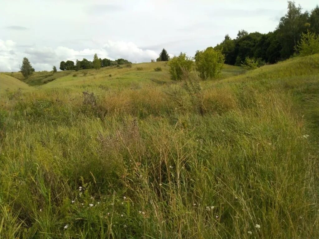 Верхоупье воловского района тульской области. Белавино церковь троицы. Тульская обл воловский р н. Верхоупье воловского района тульской области. Покровская церковь тульская область воловский район.