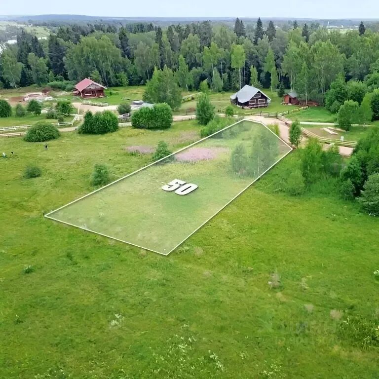 Купить земельный участок в н. Земельный участок. Участок с лесом. Земля в Подмосковье. Лесной участок.