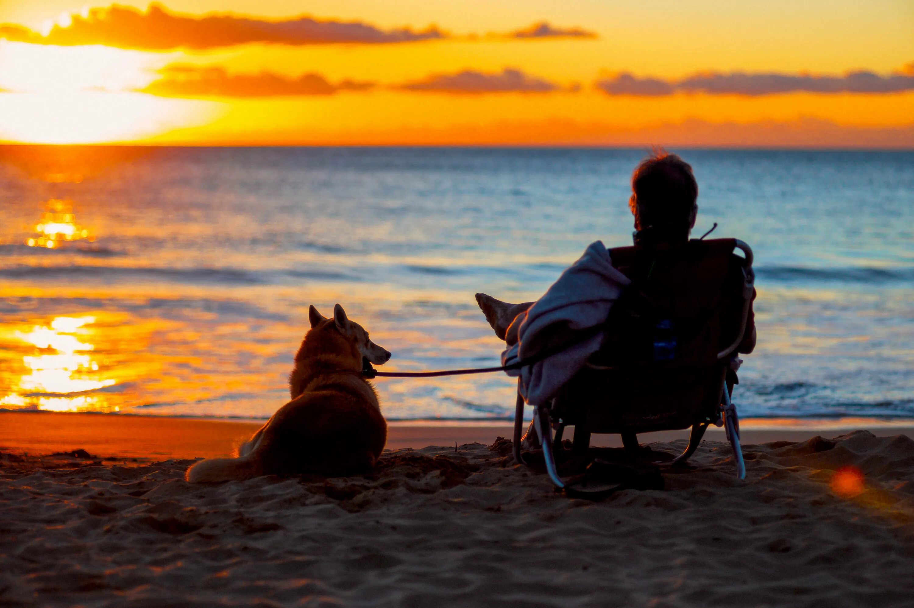 Сидя на берегу океана. Человек с собакой на море. Человек с собакой на закате. Собака на море. Собака на берегу моря.