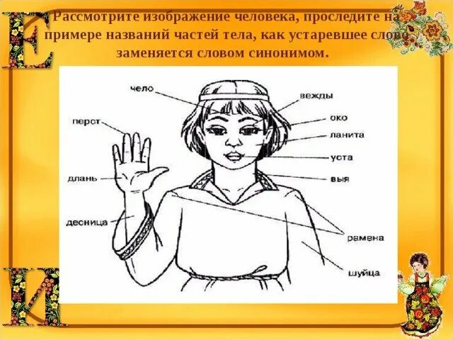 Древнииназвани частей тела. Архаизмы части тела человека. Части тела на старорусском. Руки архаизм. Древнерусские названия частей тела человека.