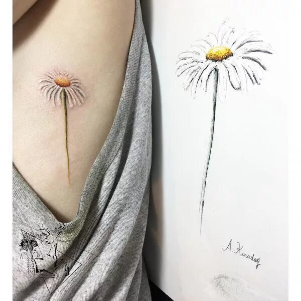 Маленькие тату ромашка. Маленькие тату ромашка. Тату ромашка значение. Мини тату ромашка. Тату с ромашками для девушек.