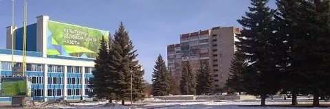Новомосковск ул связи 10