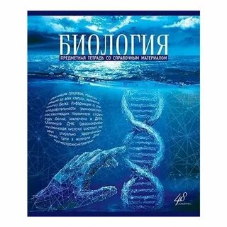 Тетрадь океан