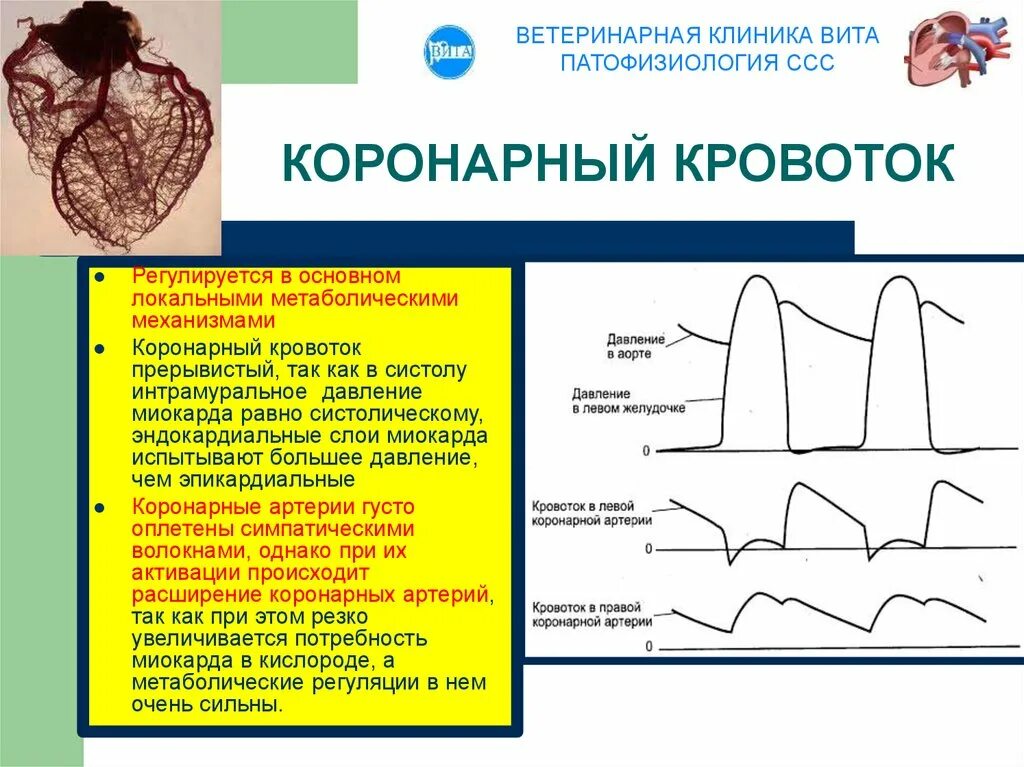 При миокарде какое давление