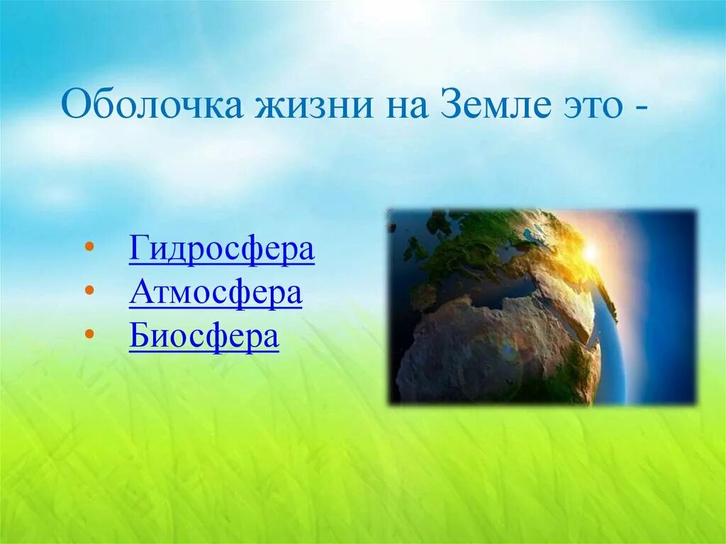 Оболочка жизни на земле. Оболочка жизни. Оболочка жизни 5 класс. Тест по теме оболочка жизни 5 класс география. Контрольная работа по теме биосфера оболочка жизни