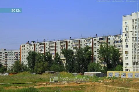 Кор сорока 30