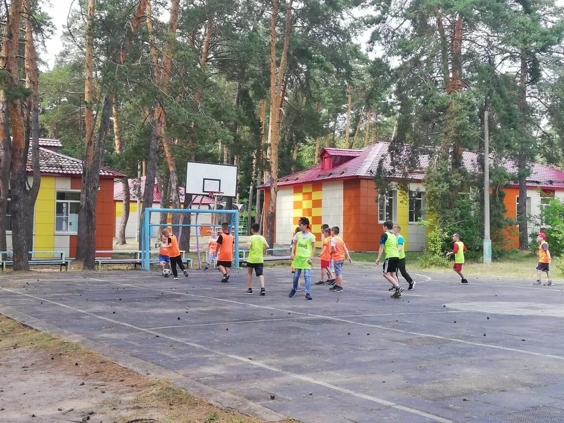 Социально-оздоровительный центр сосновый бор ступино. Социально-оздоровительный центр сосновый бор ступино. Сосновый бор санаторий нефтекамск. Санаторий сосновый бор московская область. Пансионат сосновый бор ступино.