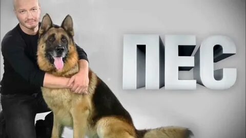 Пес постер
