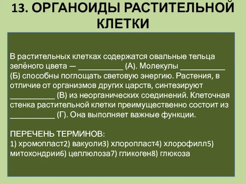 Молекулы б способны поглощать световую энергию