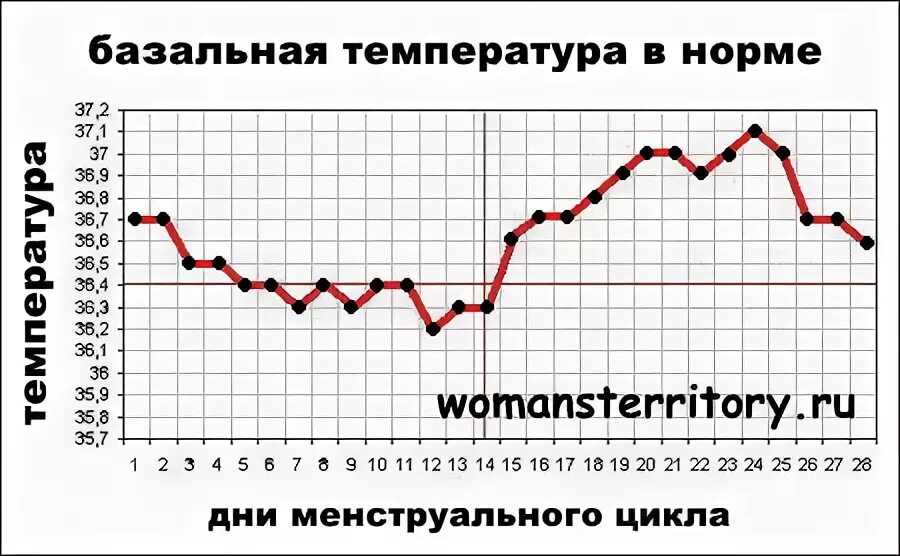 Норма ректально. Нормальный график базальной температуры. График температуры менструационного цикла. БТ В цикле норма. График базальной температуры норма.