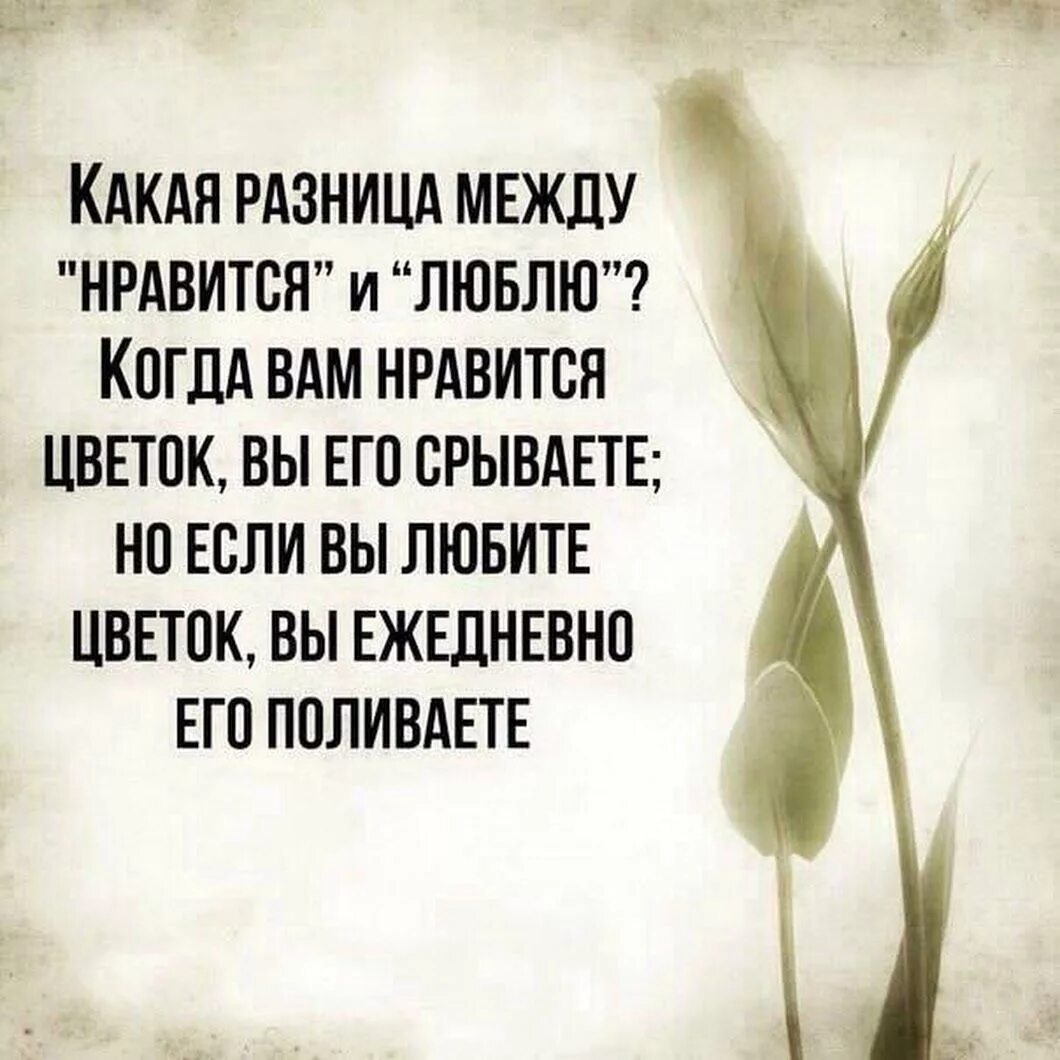 Красивые открытки со смыслом о жизни на все случаи жизни. Цитаты со смыслом. Цитаты о себе. Нравятся мысли о нем. Гоните прочь мысли которые делают вас несчастными.