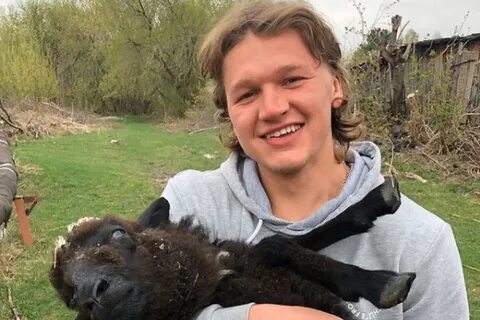 Хоккей барашков