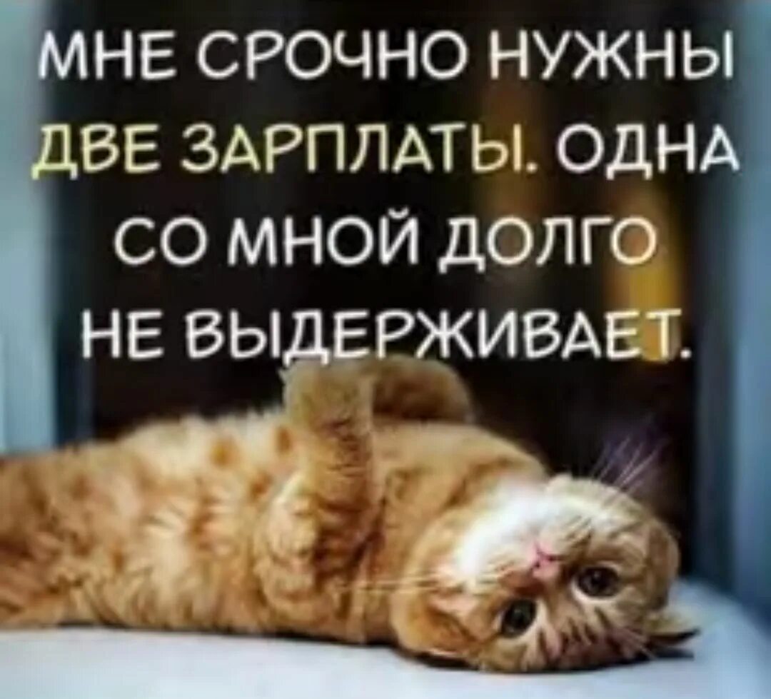 Пришло две зарплаты. Доброе утро день зарплаты. мне срочно нужны две зарплаты. ещё 2 зарплаты и новый год. зарплата пришла.