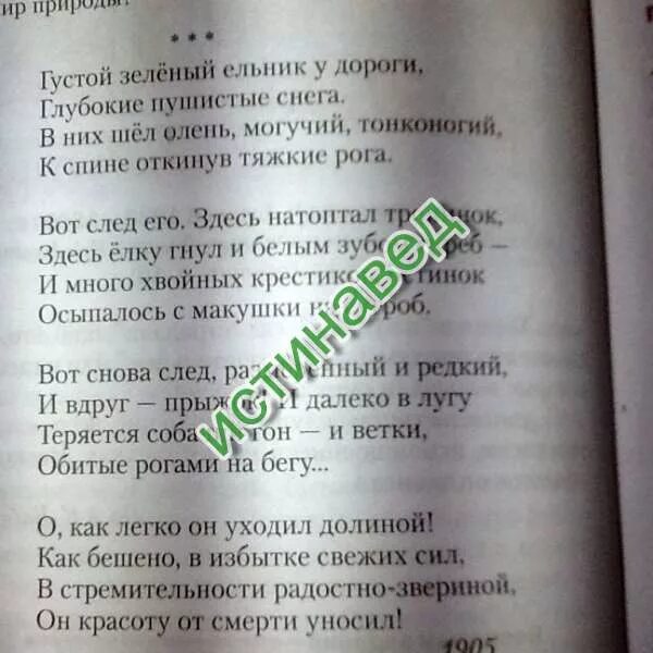 Густой зеленый ельник у дороги бунин стихотворение. Густой зеленый ельник у дороги бунин стихотворение