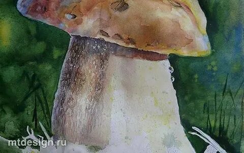 Рисуем грибы акварелью