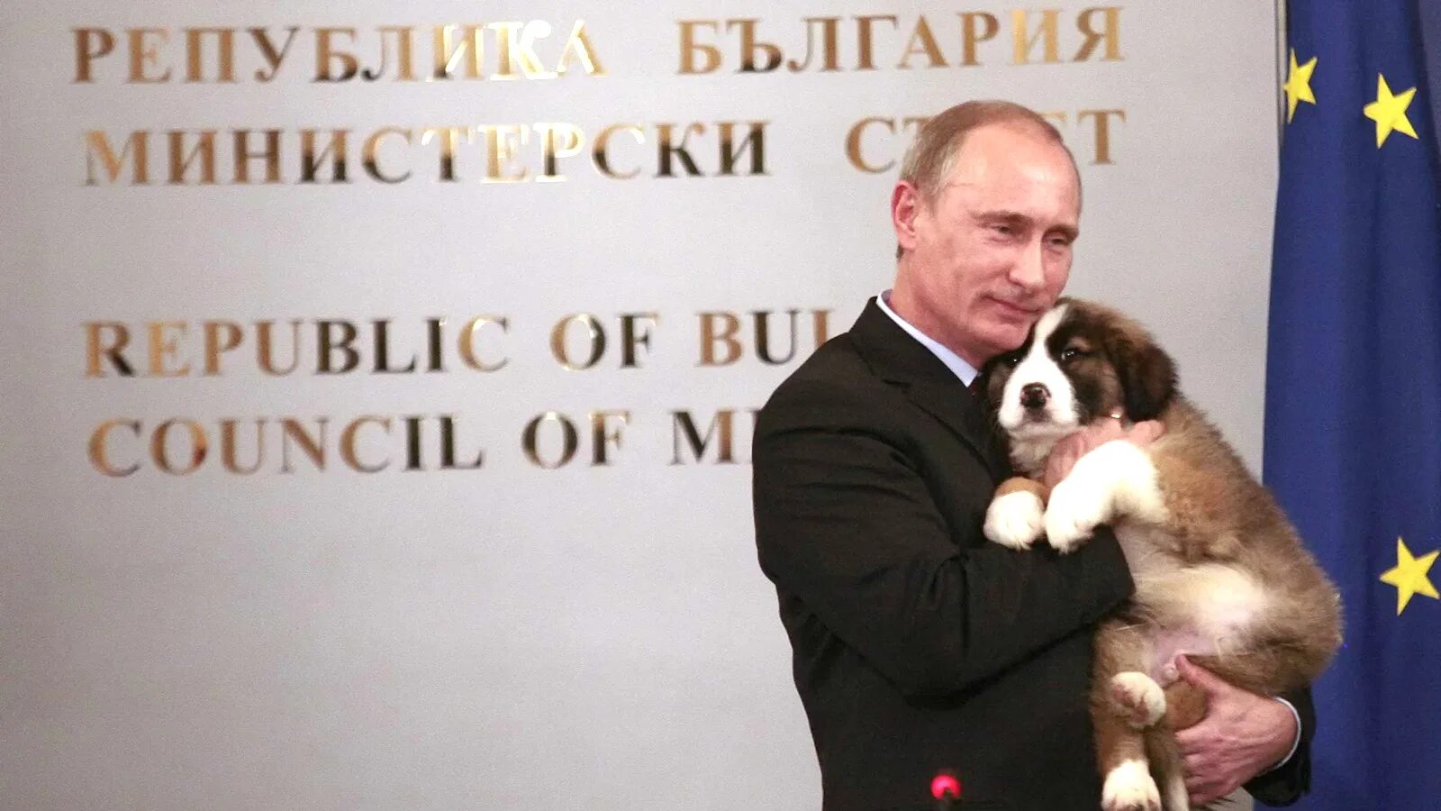 Какого щенка подарили