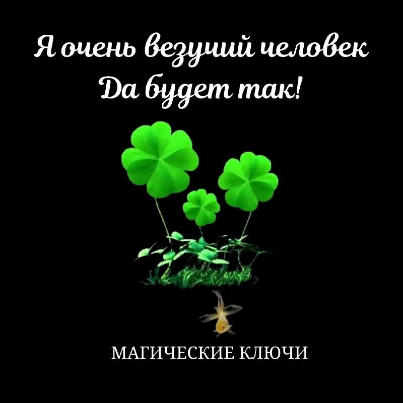 магический ключ захарченко