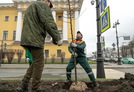 День благоустройства