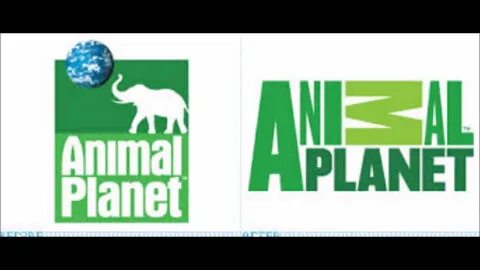 Включи animal planet