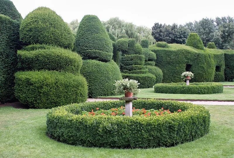 Топиарное искусство в древнем риме. Садово-парковый топиар. Топиарный сад. Топиарная стрижка тиса. Топиарная стрижка туи в стиле тоскана.