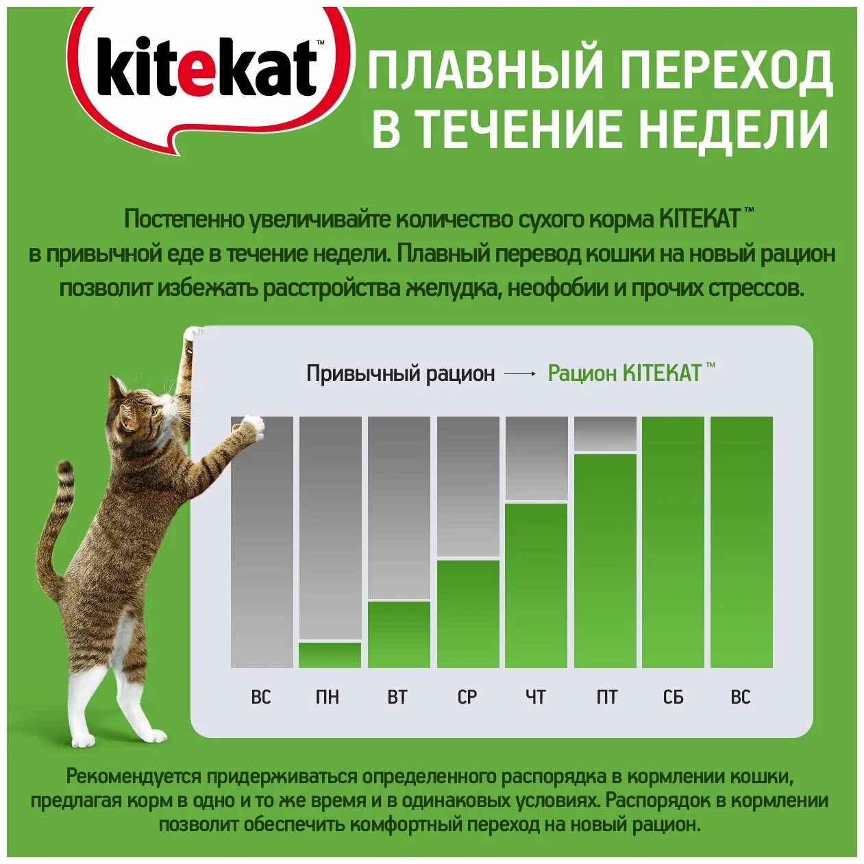 Корм китикет купить. Корм Kitekat сухой/ мясной пир 15кг. Kitekat сухой корм Телятинка аппетитная для кошек 15кг. Китикет мясной пир 800. Китекет 15 кг.