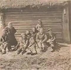 Совхоз волна волосовский район. Обобществление скота. Колхоз волна гаютино. Колхоз волна. Колхоз волна.