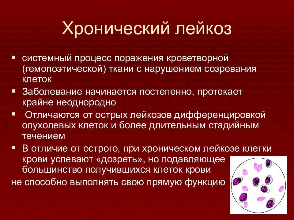 Первые симптомы лейкоза. Хронический лейкоз клиника. Острый и хронический лейкоз. Острый лейкоз и хронический лейкоз. Гемобластозы острые и хронические.