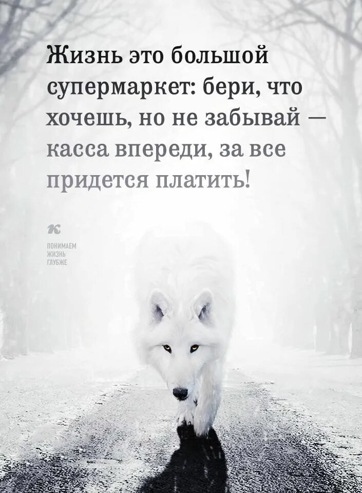 Ь жизни. Нужно не тосковать в ожидании а радоваться в предвкушении. Касса впереди цитаты. Цитаты ! Жизнь это большой супермаркет бери что. Картинка нужно не тосковать в ожидании , а радоваться в предвкушении.