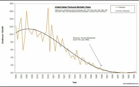 Смертность в сша