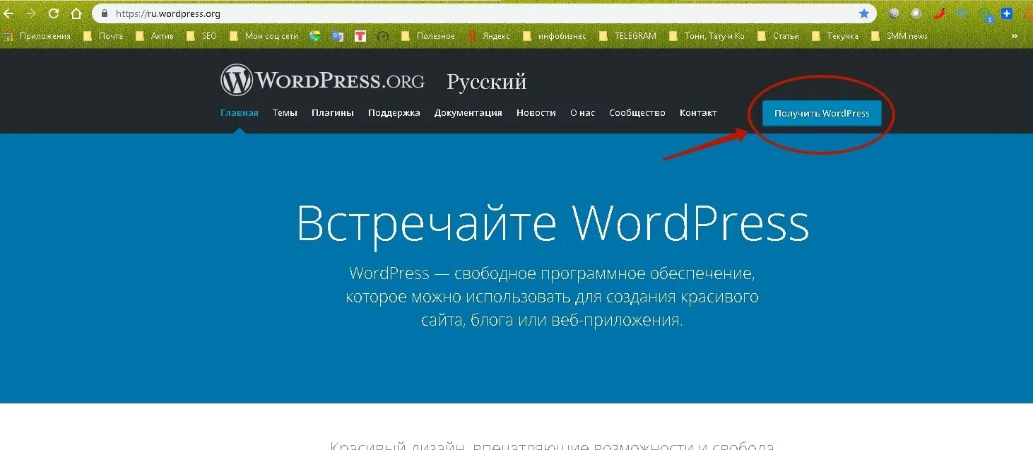 Wp content plugins home