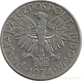 5 pln