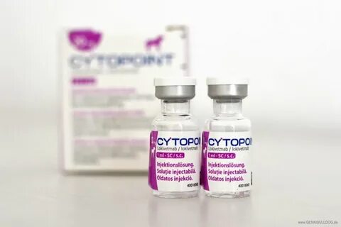 Цитопоинт