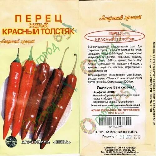 Перец толстячок описание сорта. Сорт перца горького красный толстяк. перец горький толстяк. сорт горького перца толстяк. перец красный толстяк острый отзывы.
