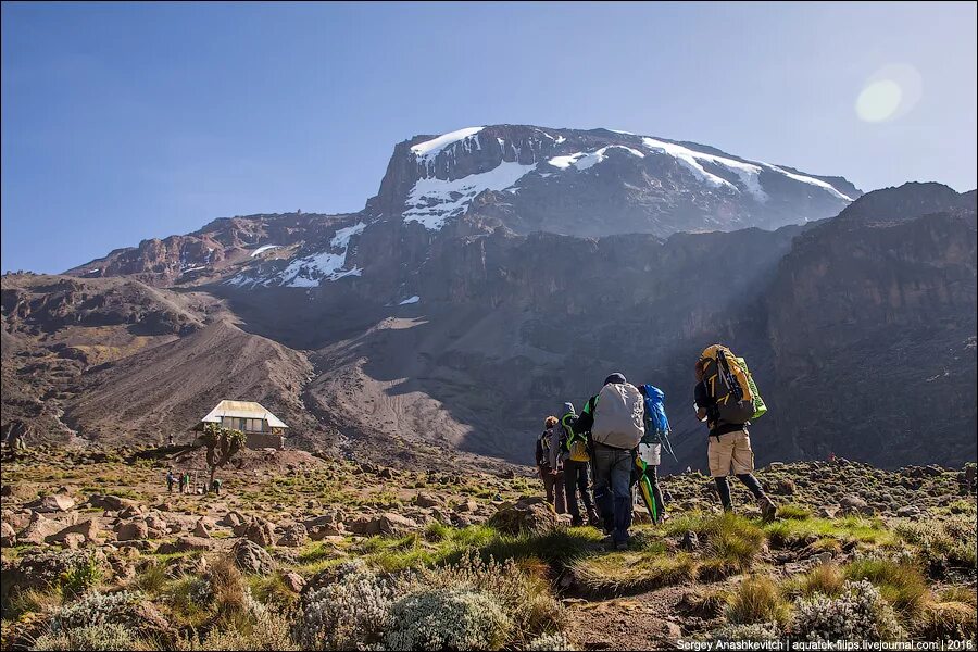 пик ухуру килиманджаро. покорение килиманджаро. подняться на килиманджаро. килиманджаро гора восхождение. килиманджаро альпинист.