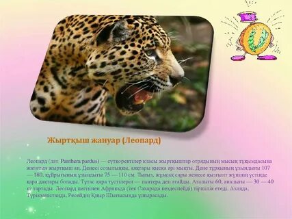 Әйелдермен анальный секс видео