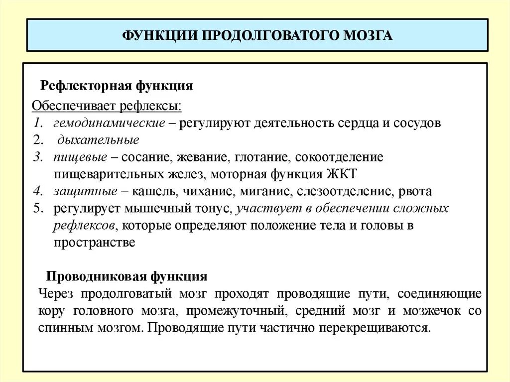 Роль продолговатого мозга. Функции продолговатого мозга кратко. Рефлекторная функция продолговатого мозга. Функции продолговатого мозга физиология. Прододолговатый мозг функции.