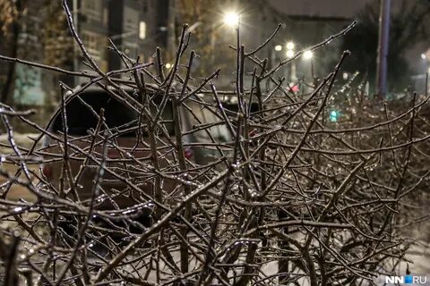 Цум в ростове после ледяного дождя