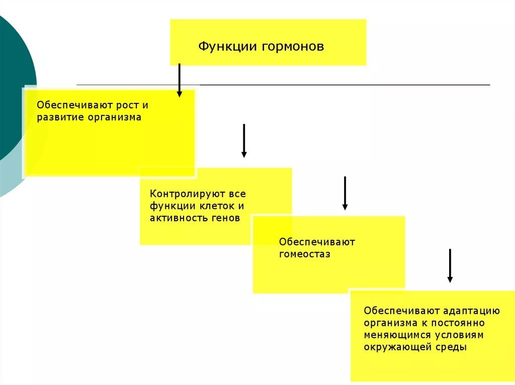 Какова роль гормонов в организме человека. Функции гормонов. Свойства и функции гормонов. Функции гормонов на развитие организма. Функции и свойства гормонов 3.