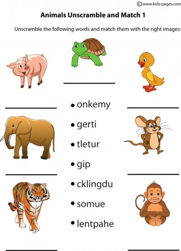 Английский 2 класс тема животных. Животные на английском для детей. Задания по английскому языку animals. Задания английский английский животные. Английский язык животные задания.