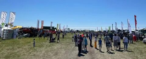 День поля ульяновск