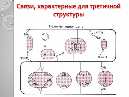 Связи между радикалами