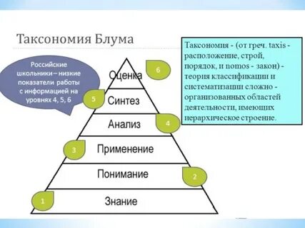 Уровни таксономии