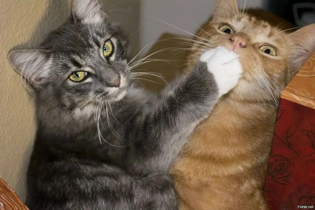 заткни свой рот картинки. девушка с пальцем у губ. тише рот закрой. женские губы. закрой рот картинка.