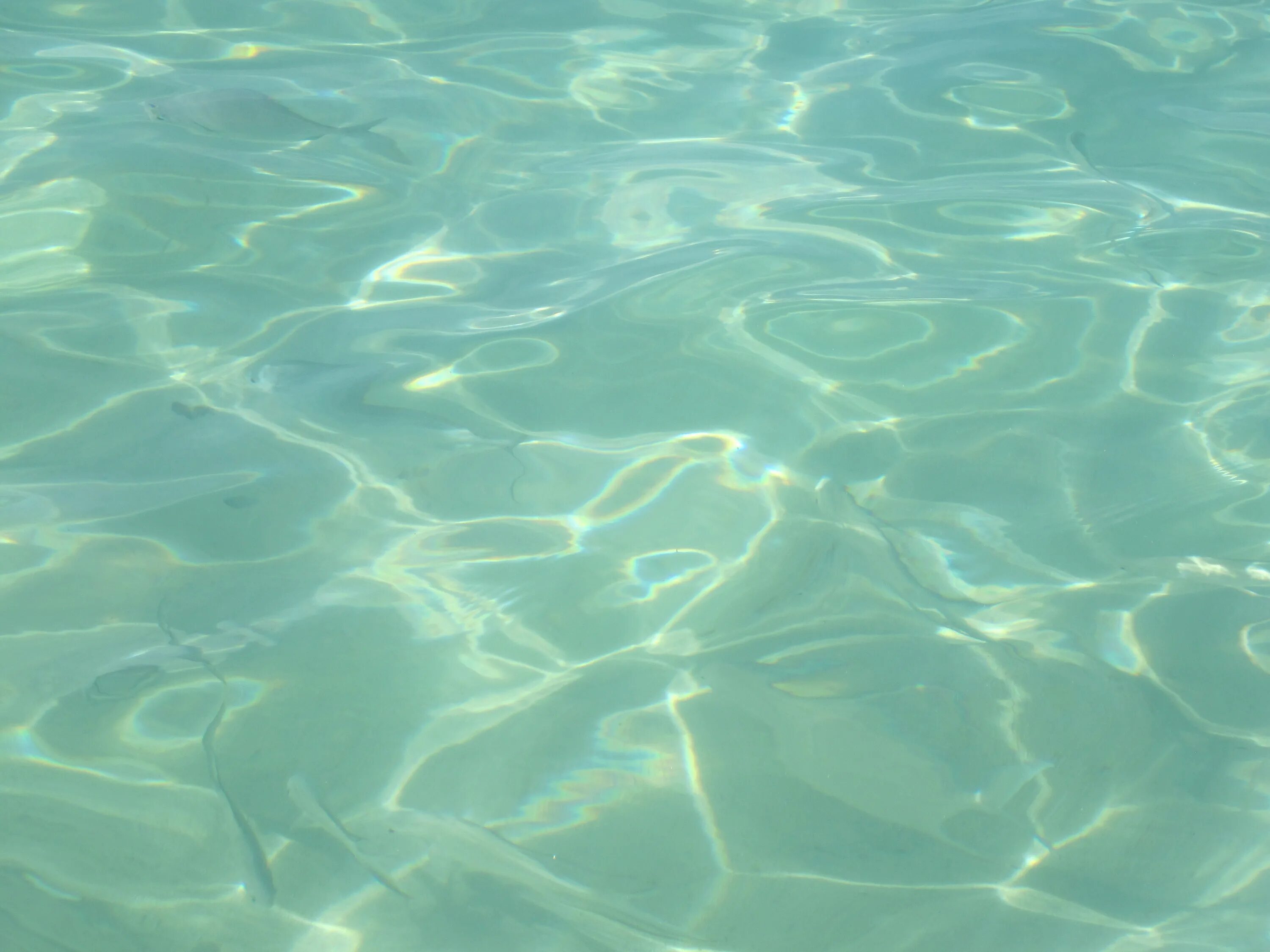 Морская гладь. Голубая прозрачная вода. Прозрачная вода в бассейне. Текстура воды. Плавать в зеленой воде