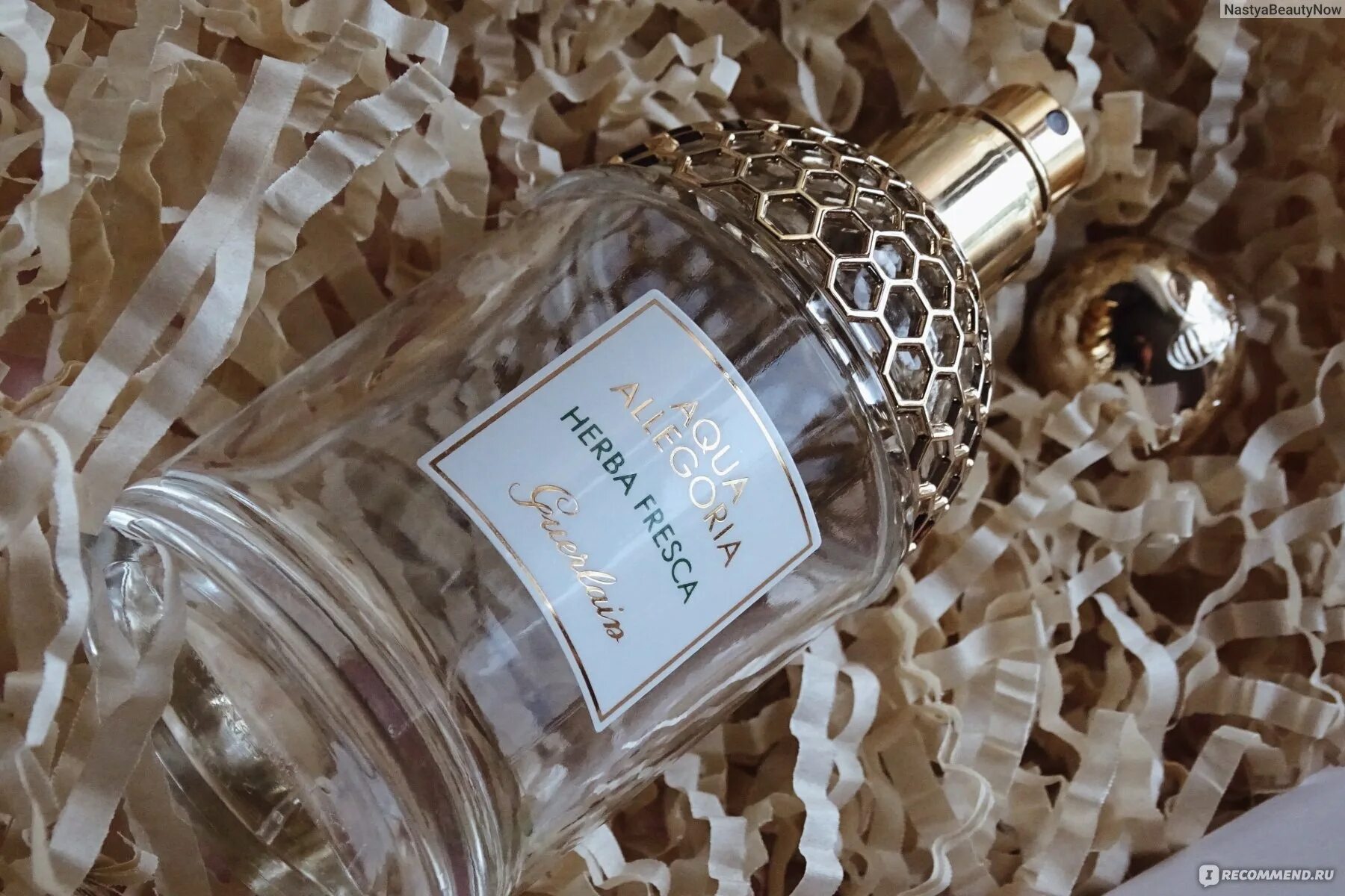 Herba fresca от Guerlain. Туалетная вода Guerlain Aqua Allegoria herba fresca. Герлен Херба фреска фото. Guerlain Aqua Allegoria herba fresca реклама. Guerlain aqua allegoria fresca