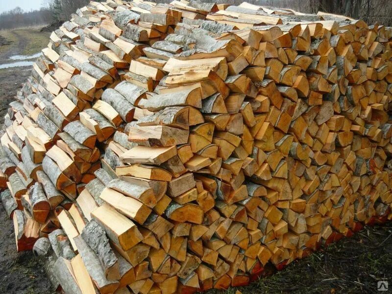Купить дрова в спб с доставкой. Березовые дрова. Дрова берёзовые колотые. Дрова береза. Ольха дрова.