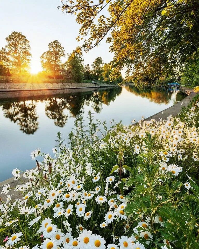 Лето природа. Летний пейзаж. Июнь природа. День на природе. Доброе прекрасное утро природа