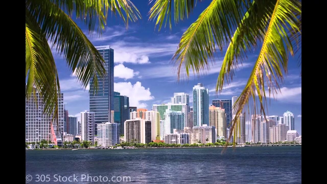 Прогулки по майами бич. Miami видео. Майами это южная америка. Тема майами. Прогулка по майами.